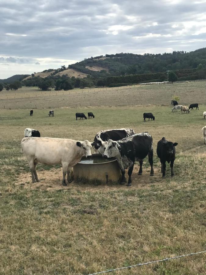 The Yarra Valley Couple Escape يارا جلين المظهر الخارجي الصورة